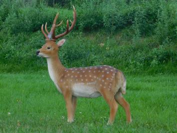 Statue Hirsch XL | Polystone | Sikahert | Ganz in Farbe