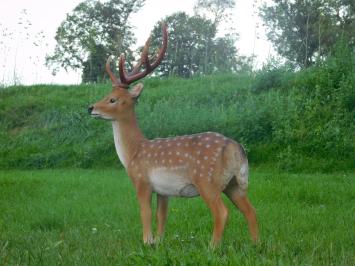 Beeld Hert XL | Polystone | Sikahert | Vol in Kleur