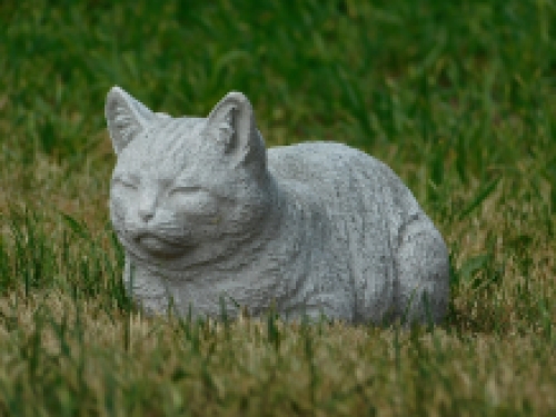 Statue einer liegenden Katze - ganz aus Stein - Gartenstatue