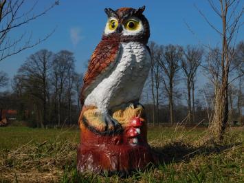 Brown Owl XL - 70 x 40 cm - Polystone