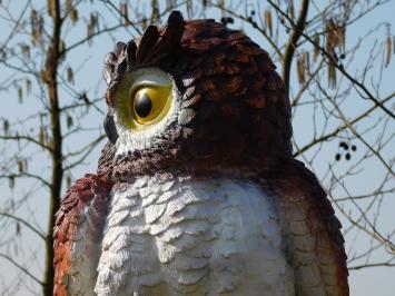 Brown Owl XL - 70 x 40 cm - Polystone
