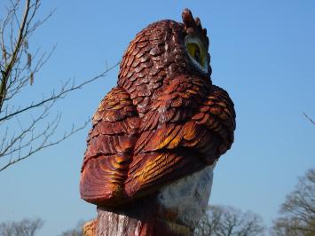 Brown Owl XL - 70 x 40 cm - Polystone