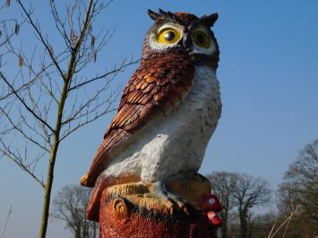Brown Owl XL - 70 x 40 cm - Polystone