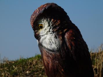 Owl on Stump – 68 cm – Detailed Sculpture – Polystone