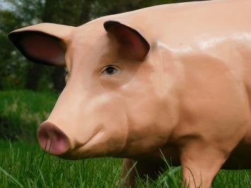 Statue Pig XL - 97 cm - Polystone