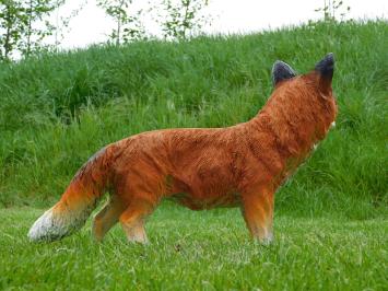 Statue Fox - 50 cm - Polystone