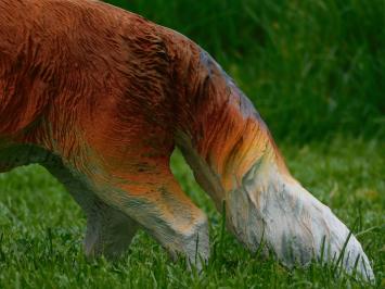 Statue Fox - 50 cm - Polystone