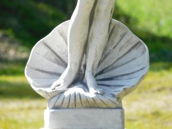 Statue Woman with Shell - 82 cm - Stone