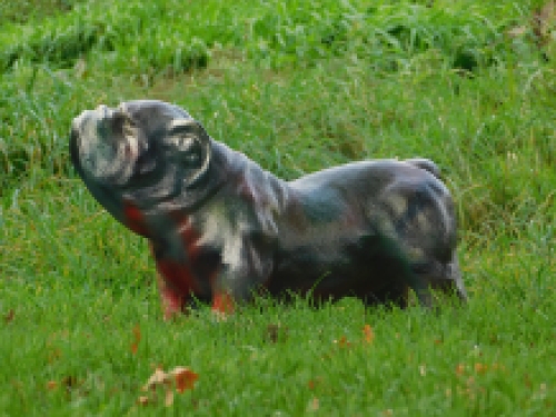 Beeld Bulldog - multicolour - polystone