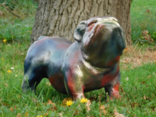 Statue Bulldog - multicolour - polystone