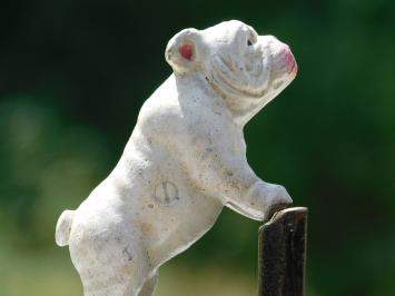 Bulldog Bookend Set – Cast Iron