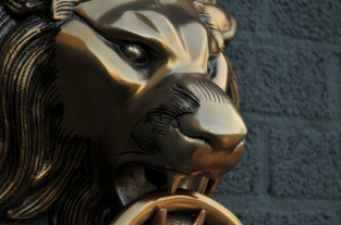 Hefty aluminum-brass color impression full lion head.