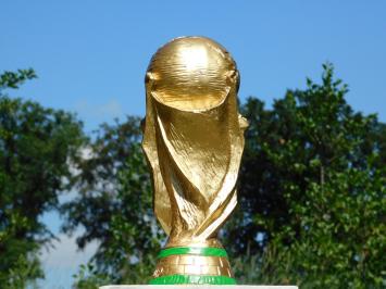 Decorative World Cup Trophy – 45 cm – Polystone