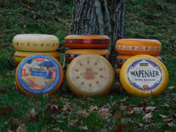 Decorative Cheese Wheel - Ø 35 cm - Various Types