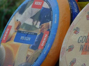 Decorative Cheese Wheel - Ø 35 cm - Various Types