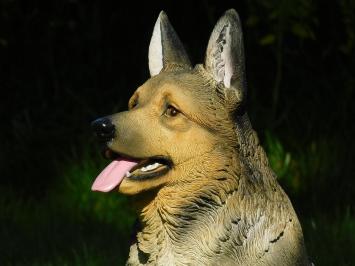 Statue Deutscher Schäferhund - Polystone - Hochdetailliert