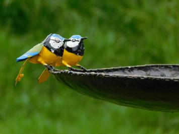 Eenmalig: Vogelbad - Gele Vogeltjes 2 om 1 - Tuinsteker - Metaal