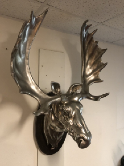 A beautiful and colossal head of a Scandinavian Moose.