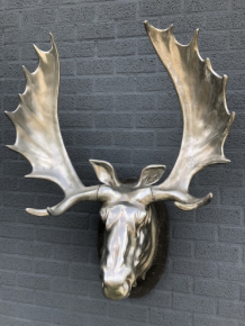 A beautiful and colossal head of a Scandinavian Moose.