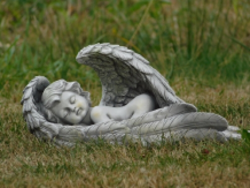 Large angel - lying in wings - polystone