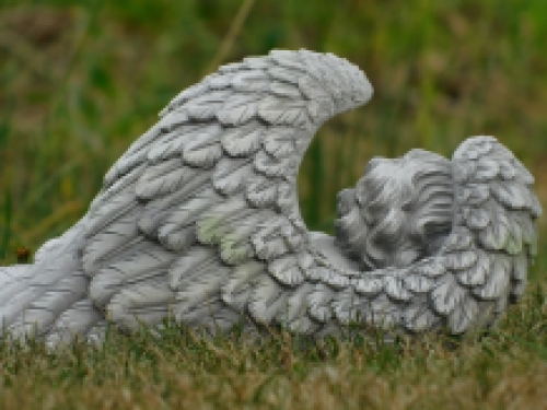 Large angel - lying in wings - polystone