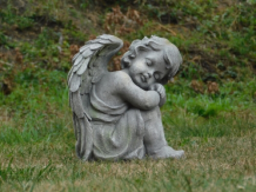 Sitting Angel - XL - polystone - detailed