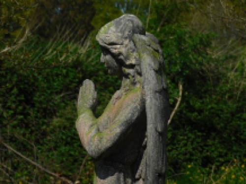 Statue Angel - polystone - 118cm