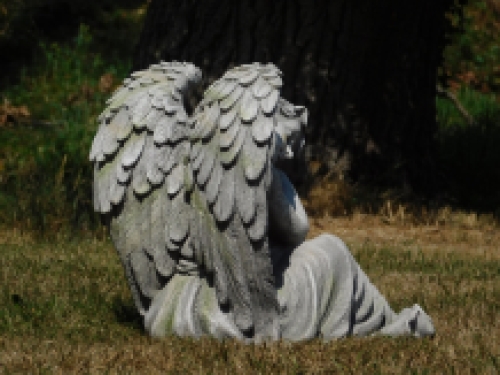 Sleeping angel - XL - polystone