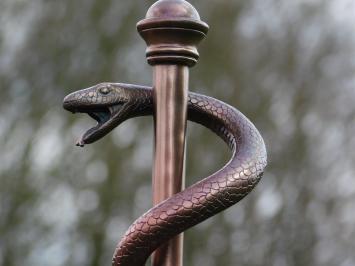 Statue Escula monkey - Copper-look - Polystone