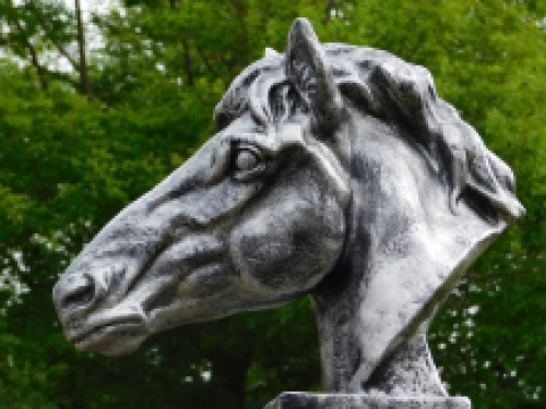 Groot paardenhoofd - zilvergrijs - polystone