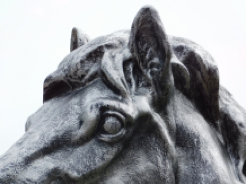 Large horse head - silver grey - polystone