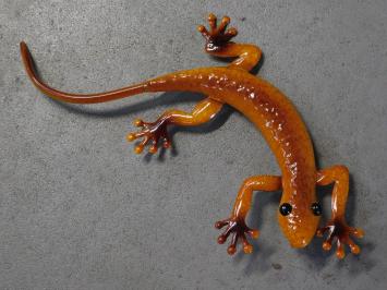 Gecko in colour - hand-painted - metal - wall deco