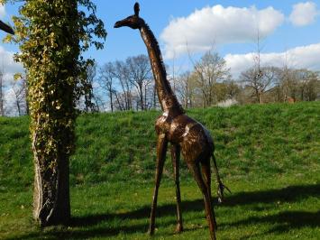 Giraffe Zola - 290 cm - Handgemaakt en Uniek