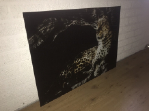 Schöne Kunst auf Glas von einem Leoparden / Panther, sehr schön!