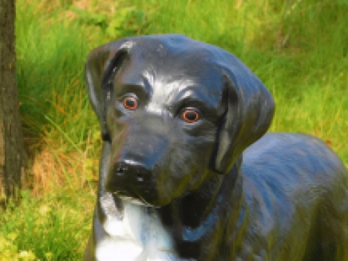 Prachtige 'Labrador Retriever' zwart - van Polystone