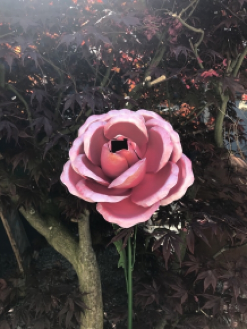 LETZTE: Ein Kunstwerk, große rosa Rose aus Metall, auf Stiel