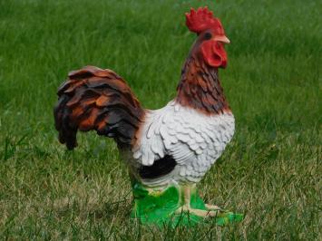 Statue Hahn in Farbe - Polystone - 40cm hoch