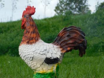 Statue Hahn in Farbe - Polystone - 40cm hoch