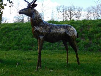 Hirsch ''Fara'' XXL - 195 cm - Handgefertigt & Einzigartig