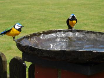Vogelbad / Voederschaal Met 2 Vogeltjes – Metaal – Ø 45 cm – Handgemaakt