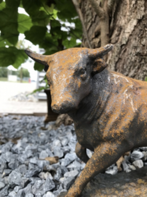 Een fraai beeld van een stier, gietijzer-rust