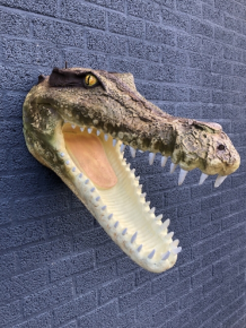 Lifelike crocodile head with open mouth, very nice design!