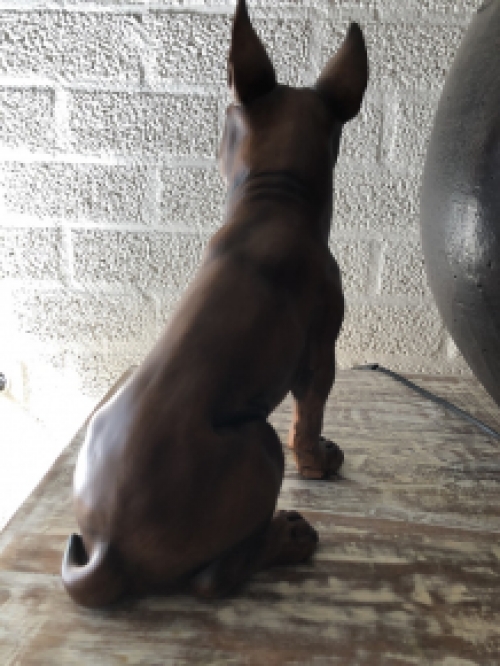 French bulldog model, craftwood-brown sitting., LAST!!