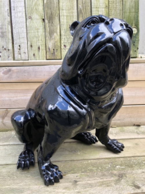 Bulldog Engels model, polystein-zwart zittend.