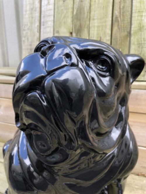 Bulldog English model, polystein-black sitting.