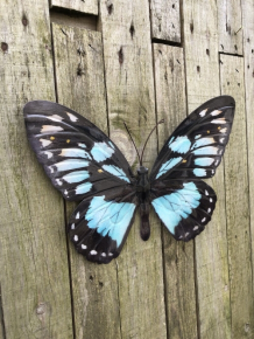 Vlinder, geheel metaal en vol in kleur blauw-groen zwart.