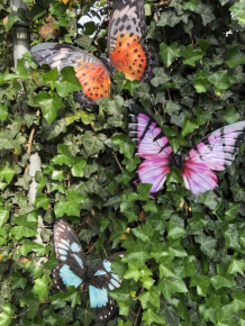 Set of 3 Butterflies, all metal and full in color, various colors