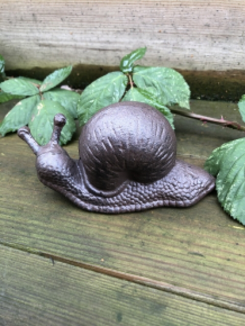 Gusseisen Schnecken braun