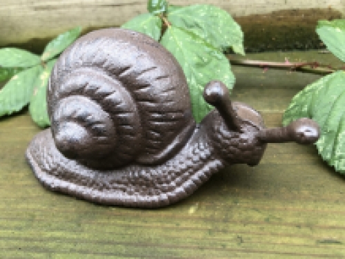 Gusseisen Schnecken braun