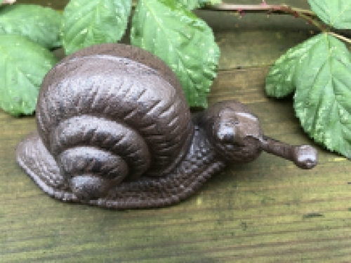 Gusseisen Schnecken braun